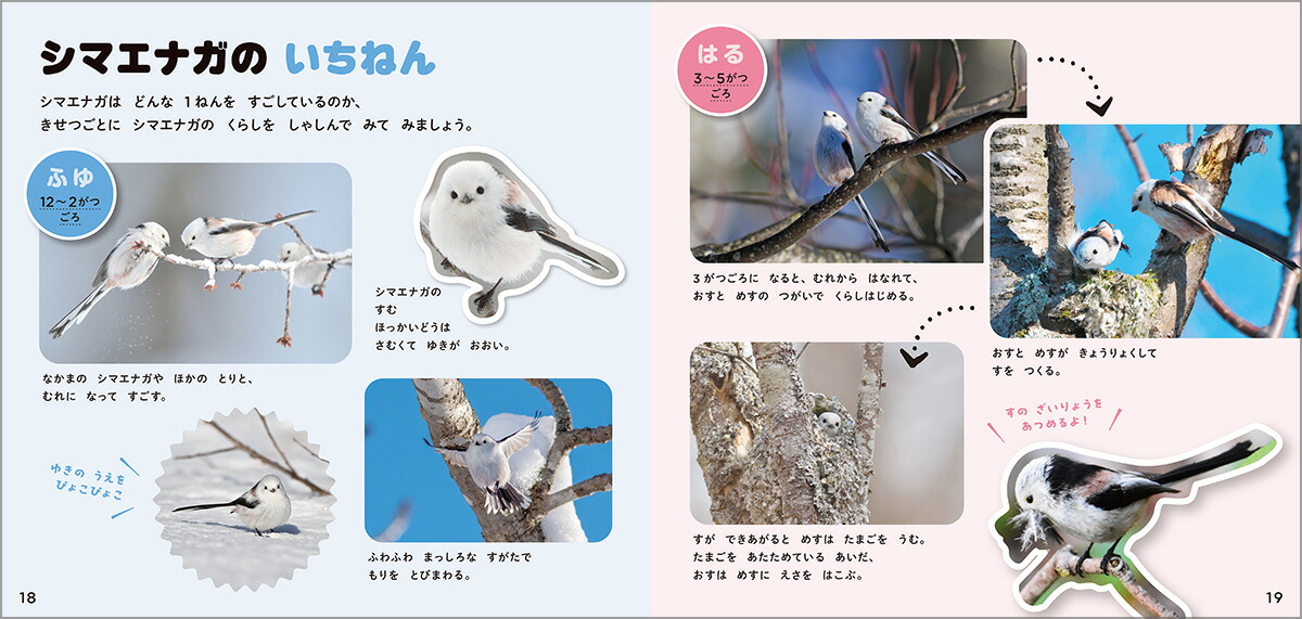 シマエナガのずかん（学研のえほんずかん11）[ぴよ手帖]