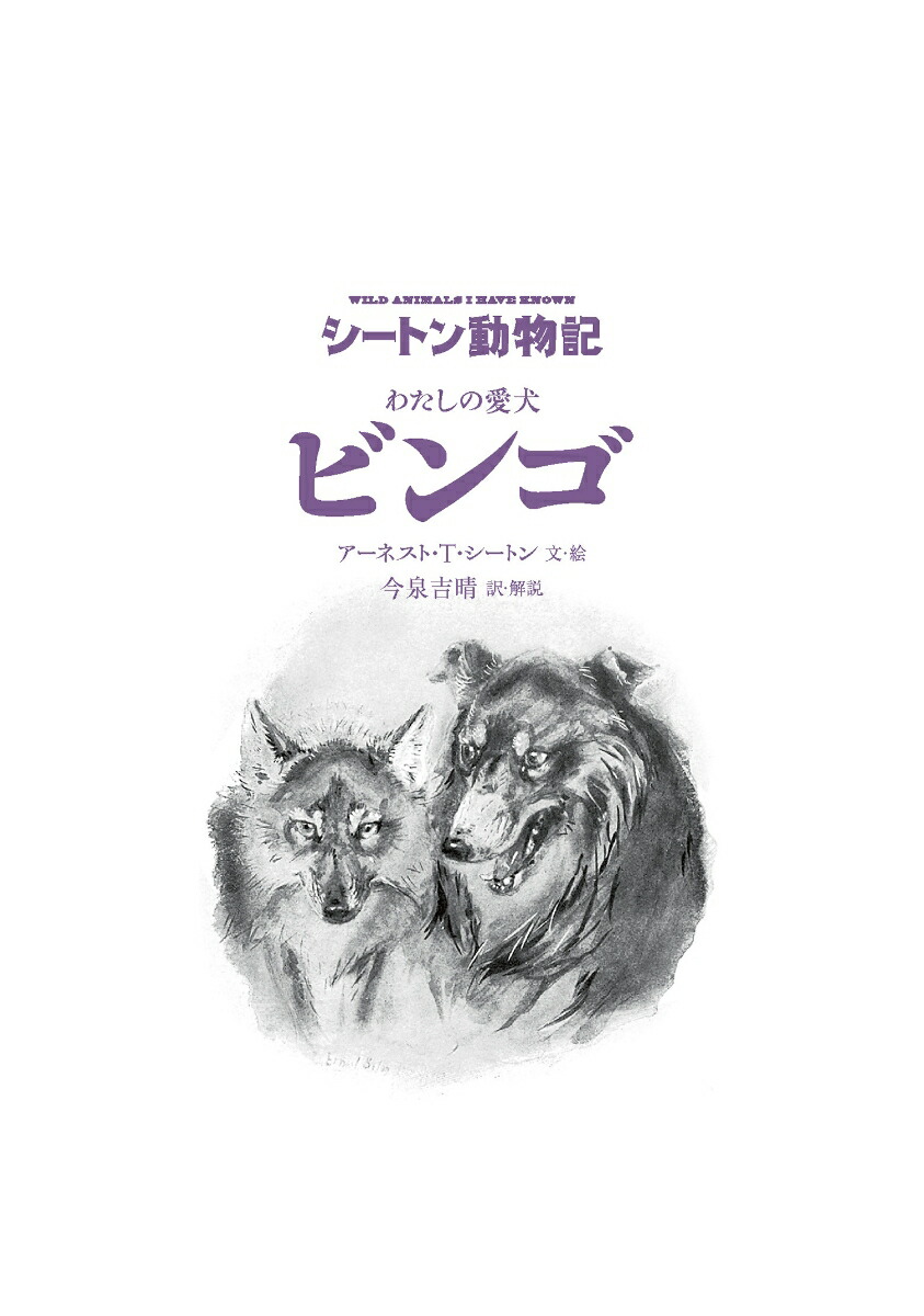 錄ΰӥ󥴡ʿ޽ǡˡʥȥưʪ[ͥȡTȥ]