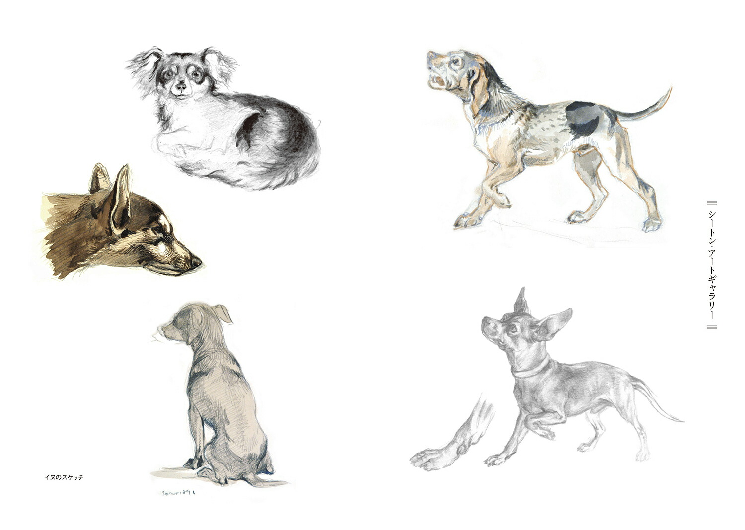 錄ΰӥ󥴡ʿ޽ǡˡʥȥưʪ[ͥȡTȥ]