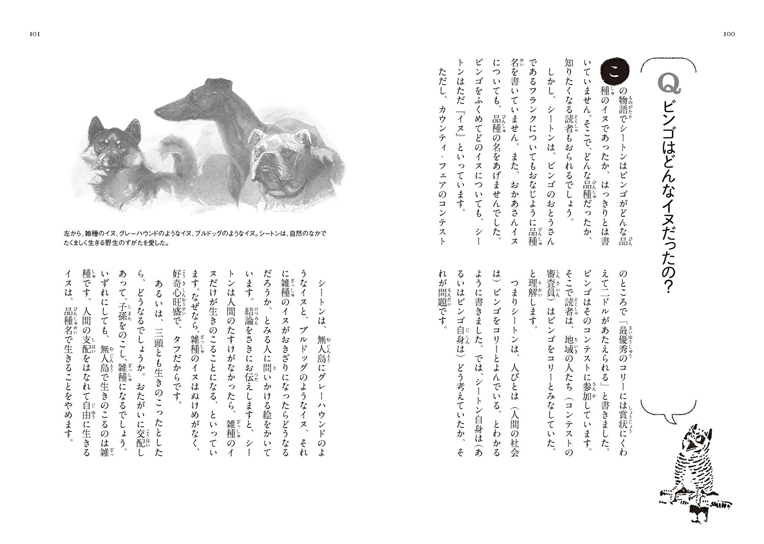 錄ΰӥ󥴡ʿ޽ǡˡʥȥưʪ[ͥȡTȥ]