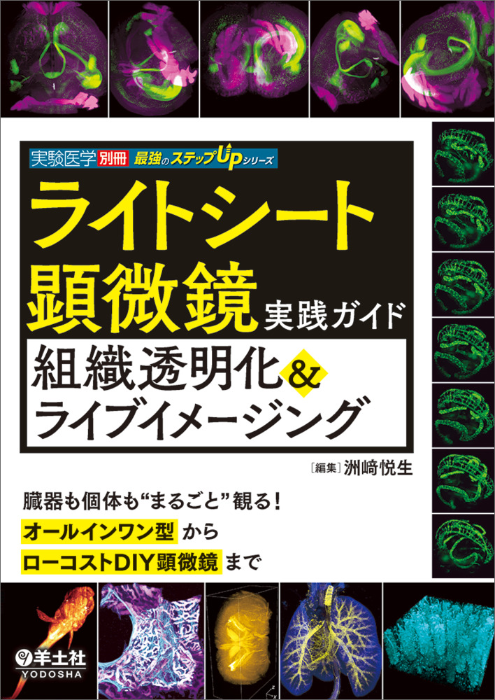 キンブレペンライトキラキラシート単品販売2枚 - その他