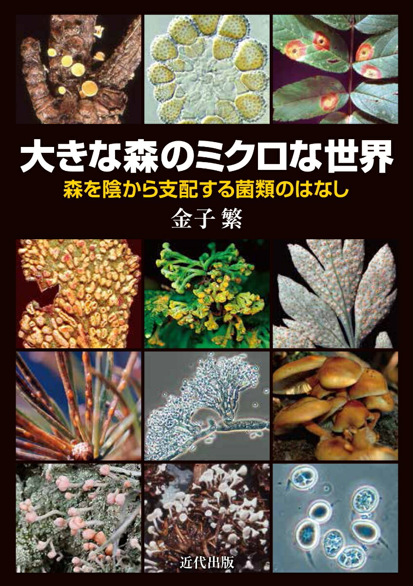 楽天ブックス 大きな森のミクロな世界 森を陰から支配する菌類のはなし 金子繁 本