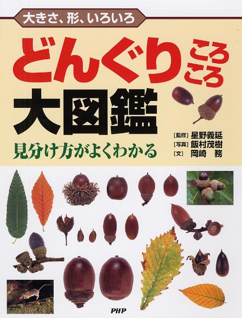 楽天ブックス どんぐりころころ大図鑑 見分け方がよくわかる 大きさ 形 いろいろ 飯村茂樹 本