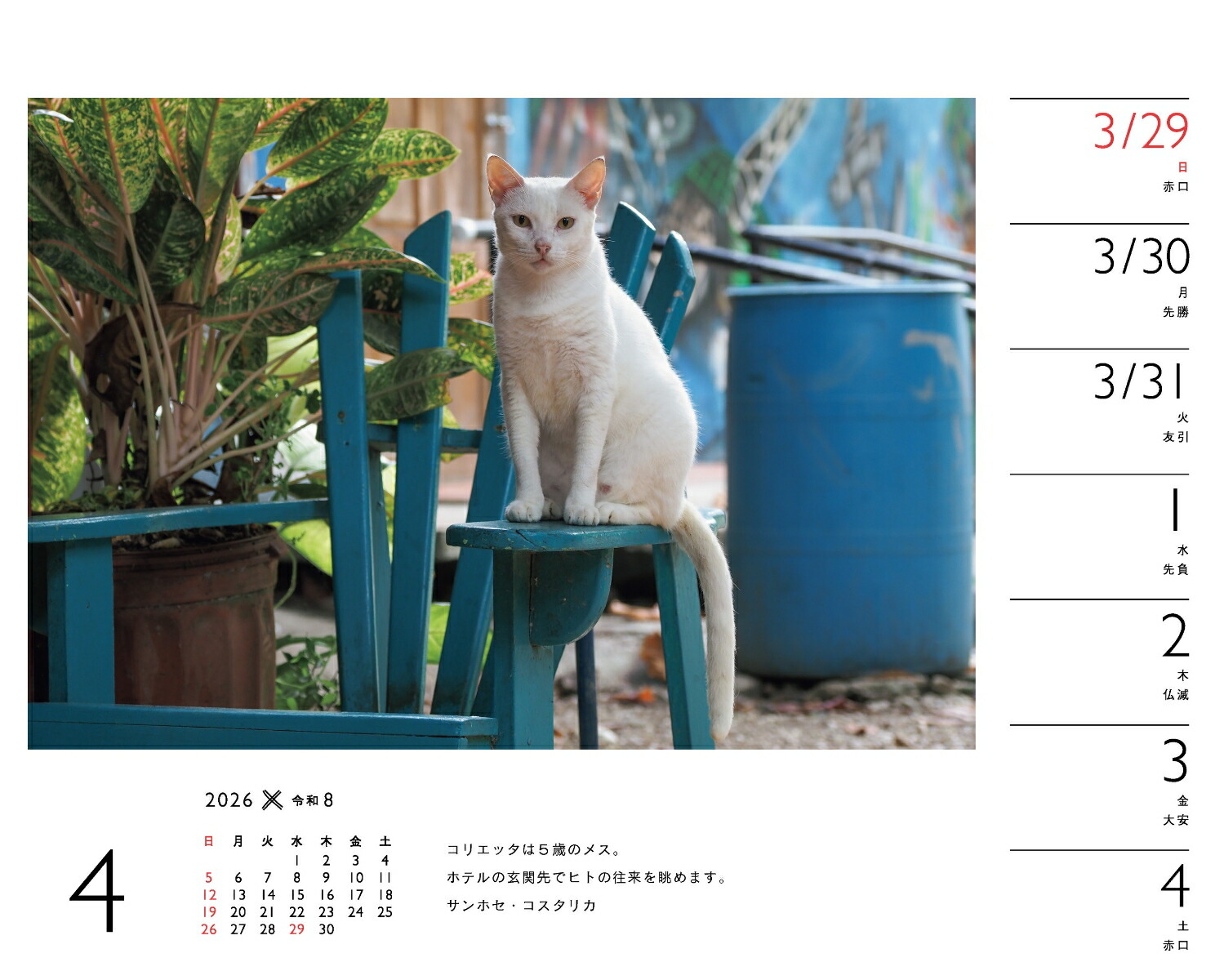 2026ߤͤʽ᤯/塦/ǭǭˡʡΥϡ