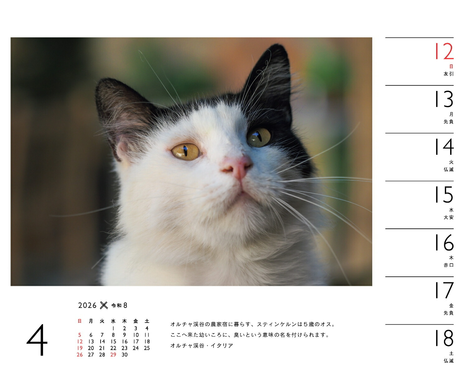 2026ߤͤʽ᤯/塦/ǭǭˡʡΥϡ