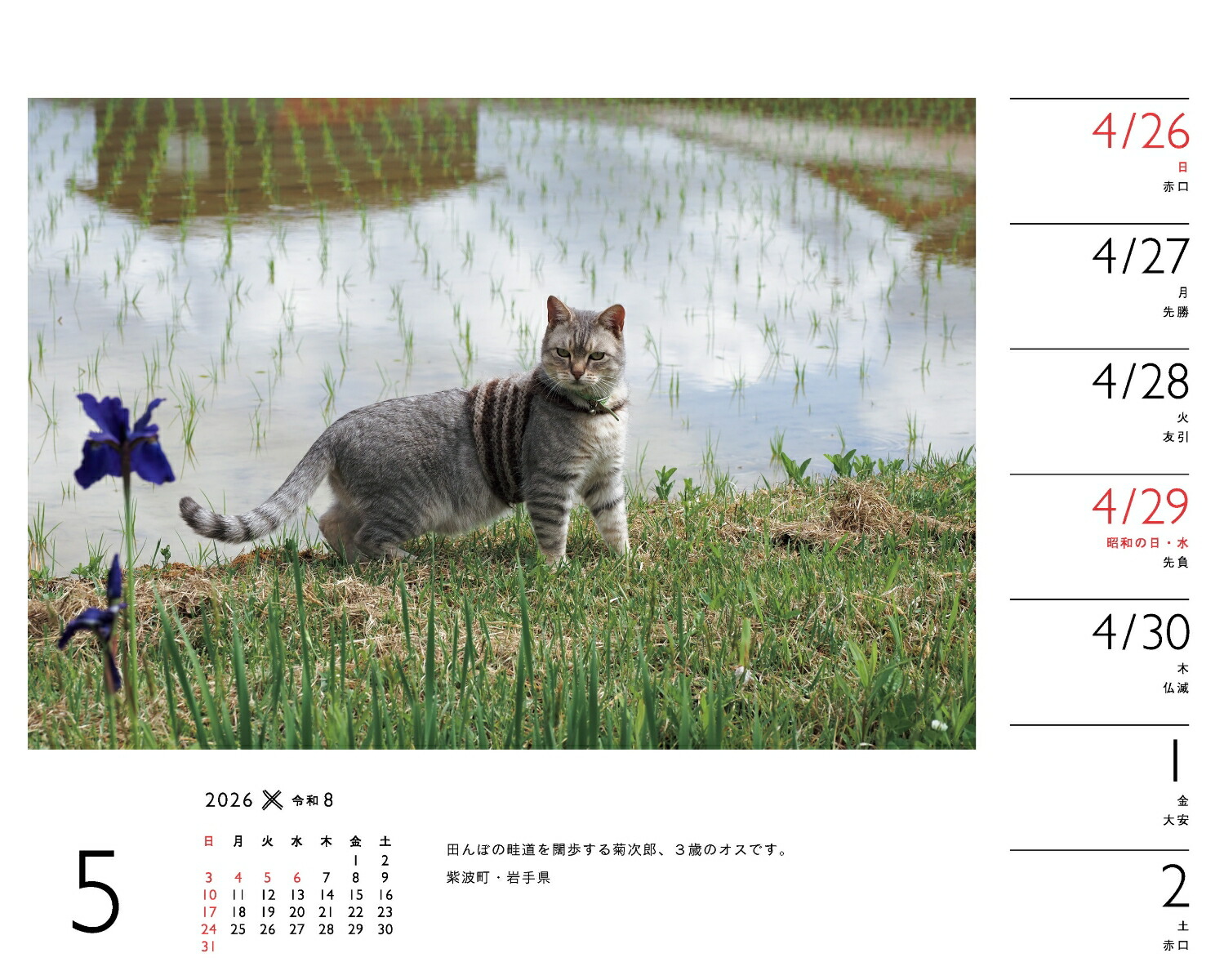 2026ߤͤʽ᤯/塦/ǭǭˡʡΥϡ