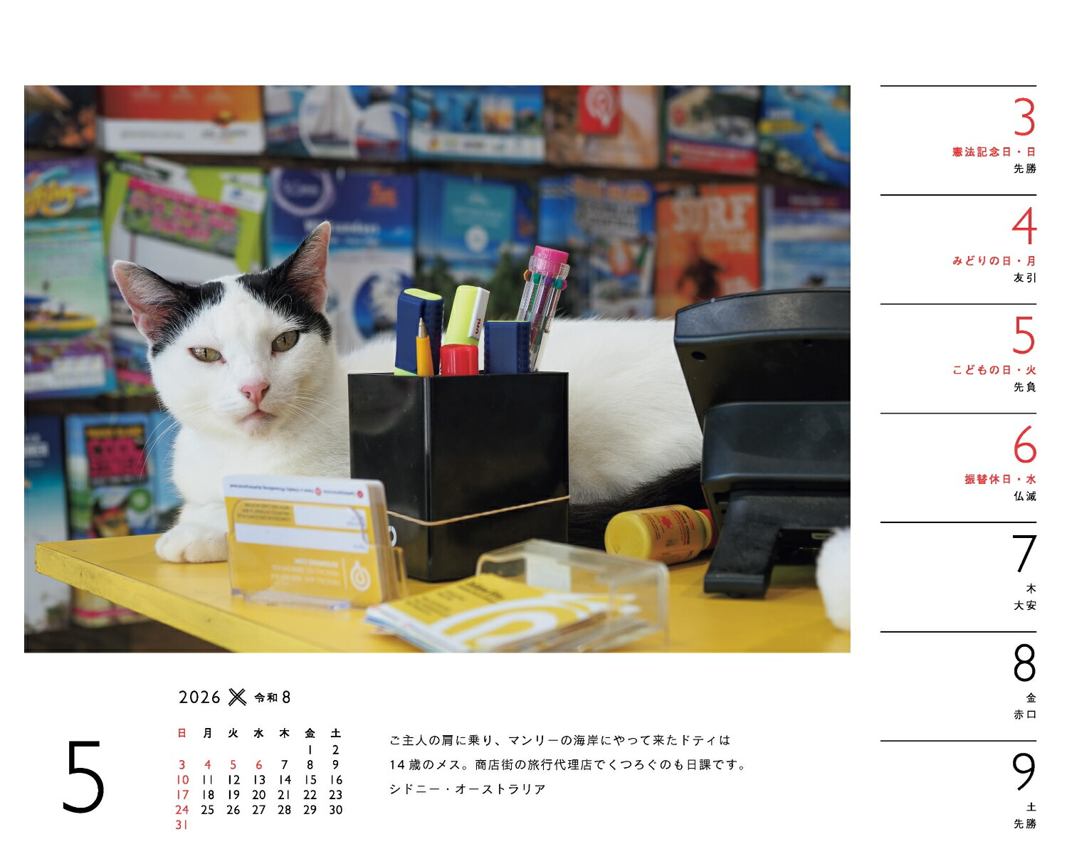 2026ߤͤʽ᤯/塦/ǭǭˡʡΥϡ