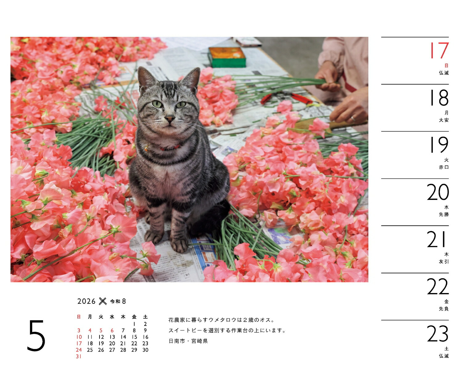 2026ߤͤʽ᤯/塦/ǭǭˡʡΥϡ