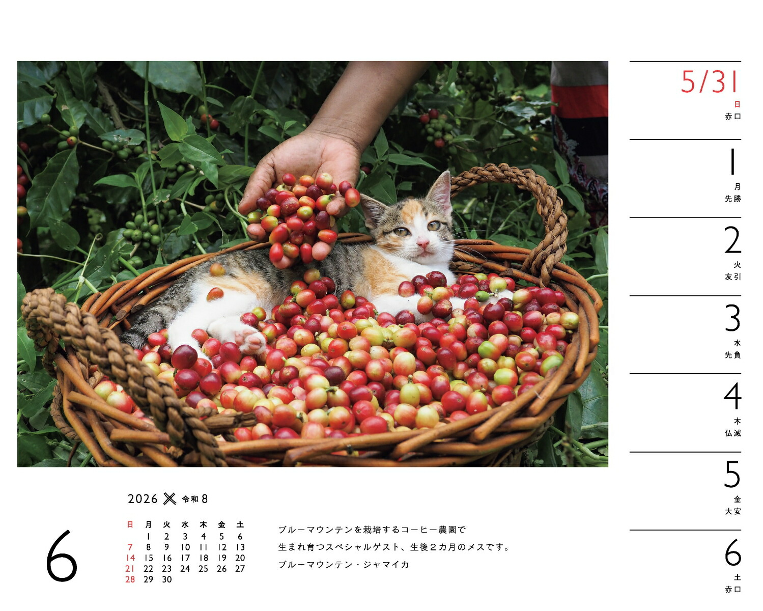 2026ߤͤʽ᤯/塦/ǭǭˡʡΥϡ