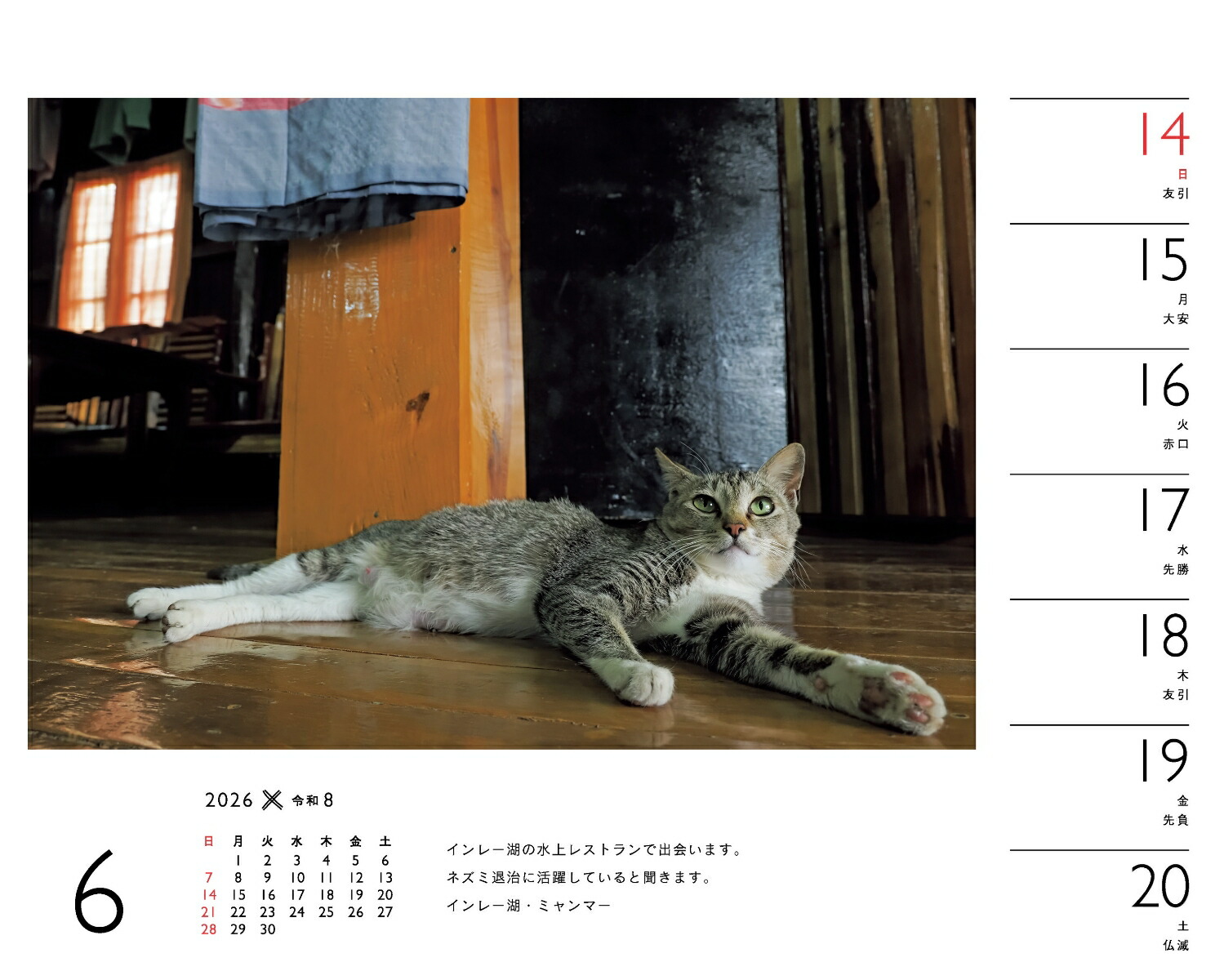 2026ߤͤʽ᤯/塦/ǭǭˡʡΥϡ