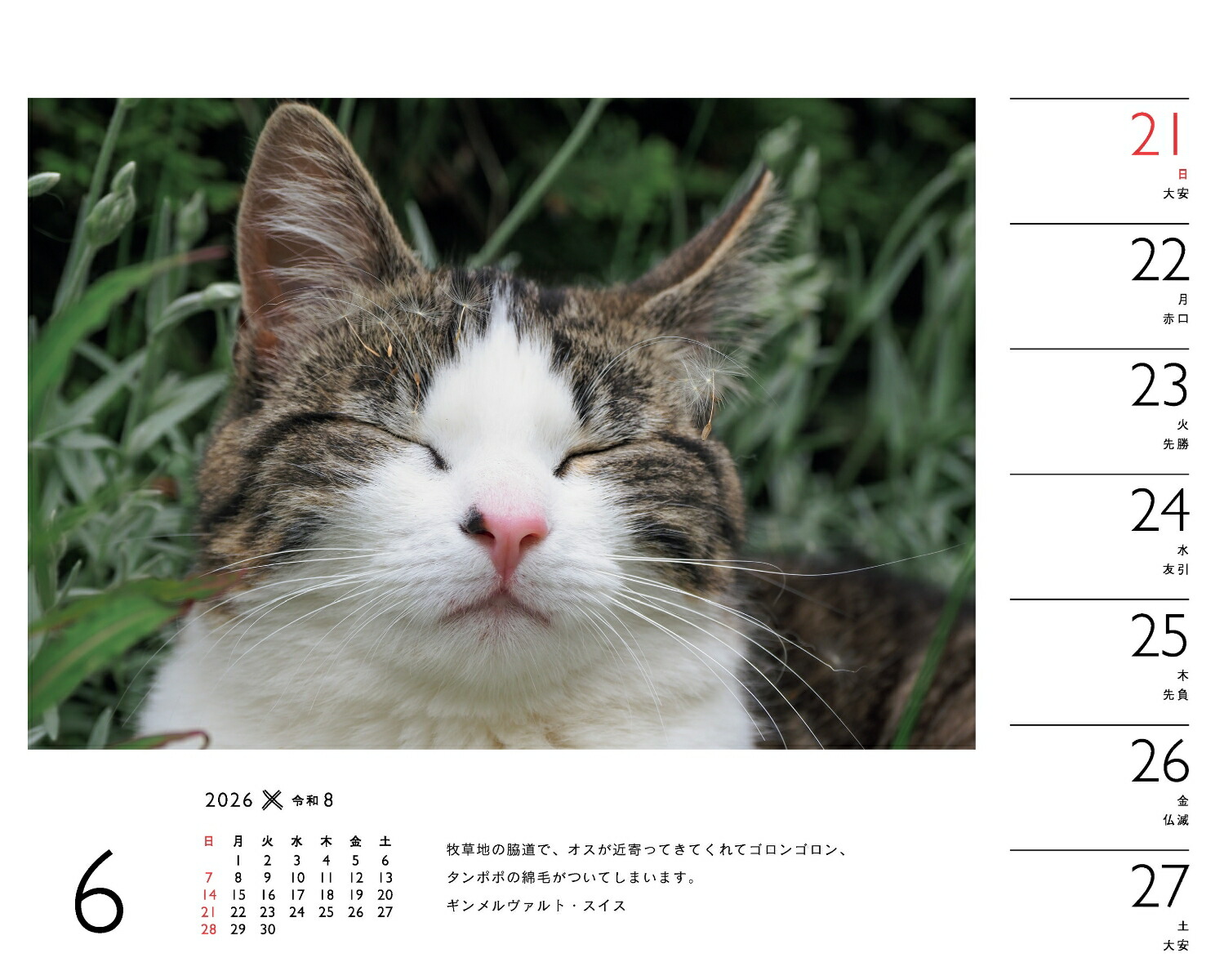 2026ߤͤʽ᤯/塦/ǭǭˡʡΥϡ