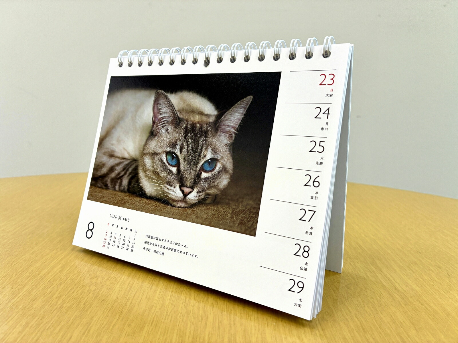 2026ߤͤʽ᤯/塦/ǭǭˡʡΥϡ