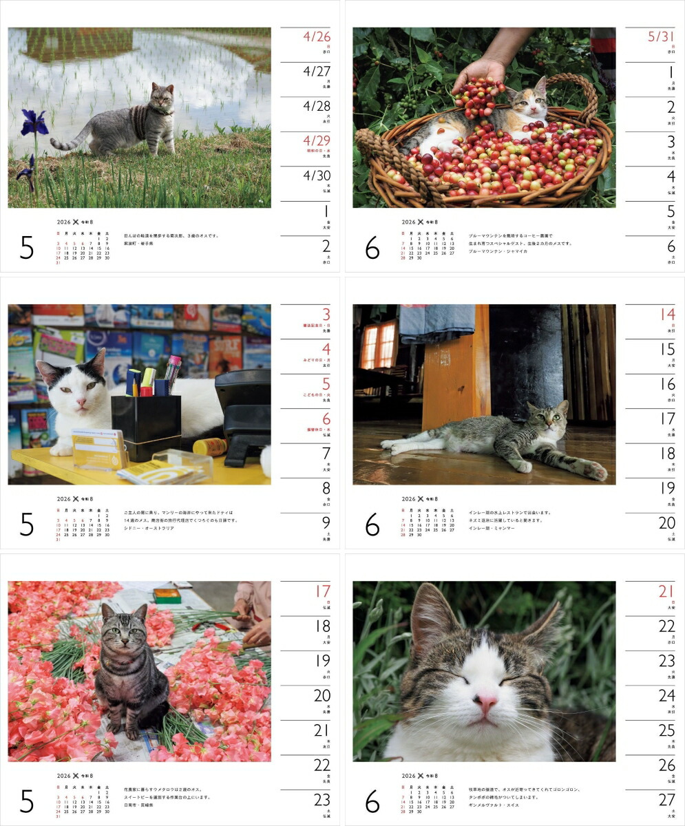 2026ߤͤʽ᤯/塦/ǭǭˡʡΥϡ