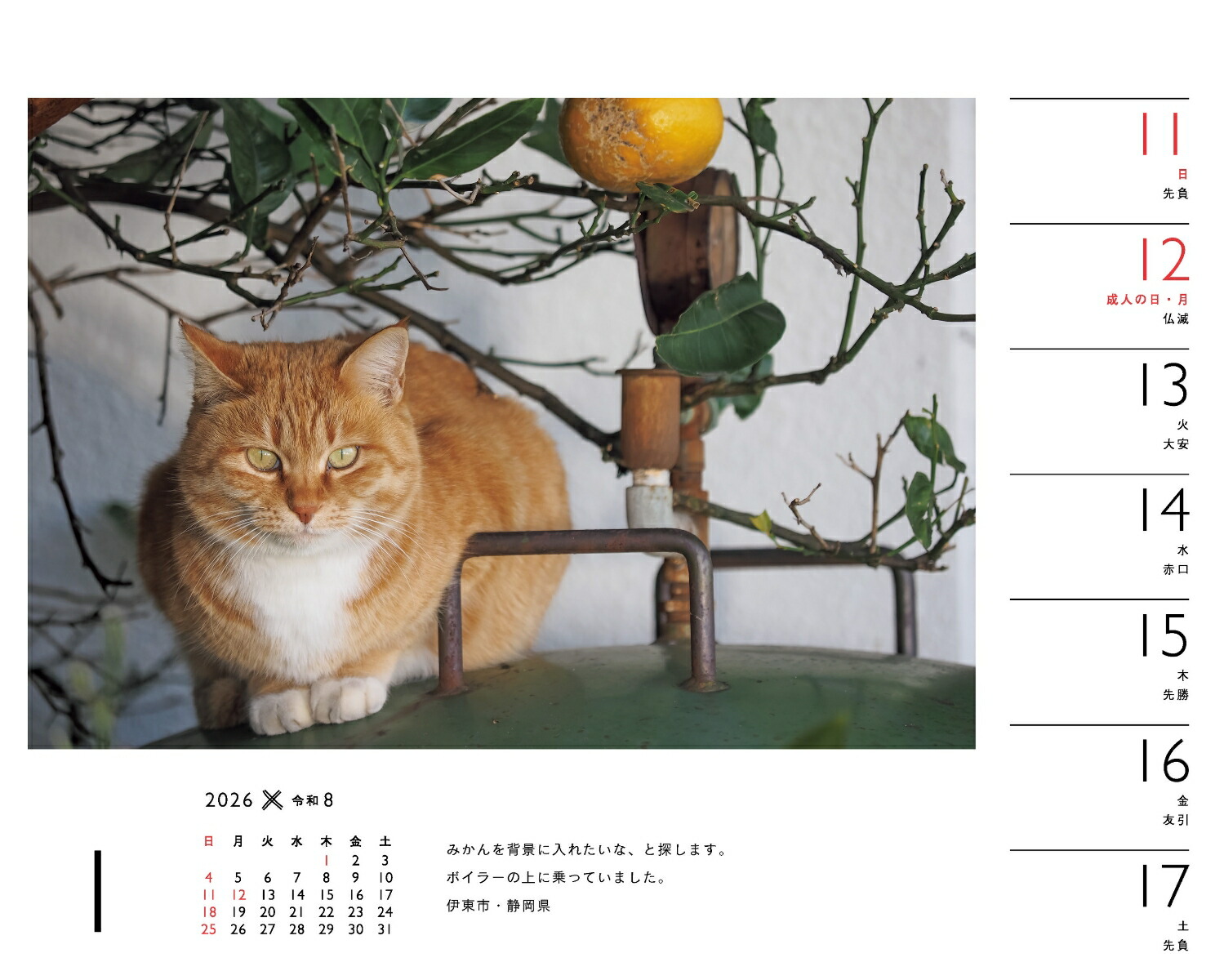 2026ߤͤʽ᤯/塦/ǭǭˡʡΥϡ