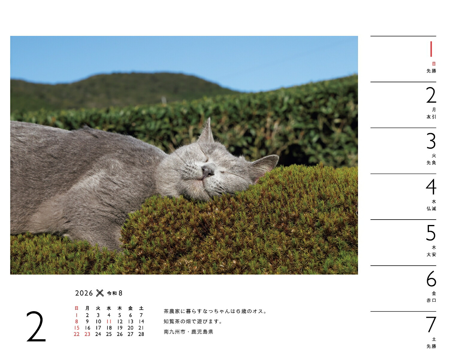 2026ߤͤʽ᤯/塦/ǭǭˡʡΥϡ