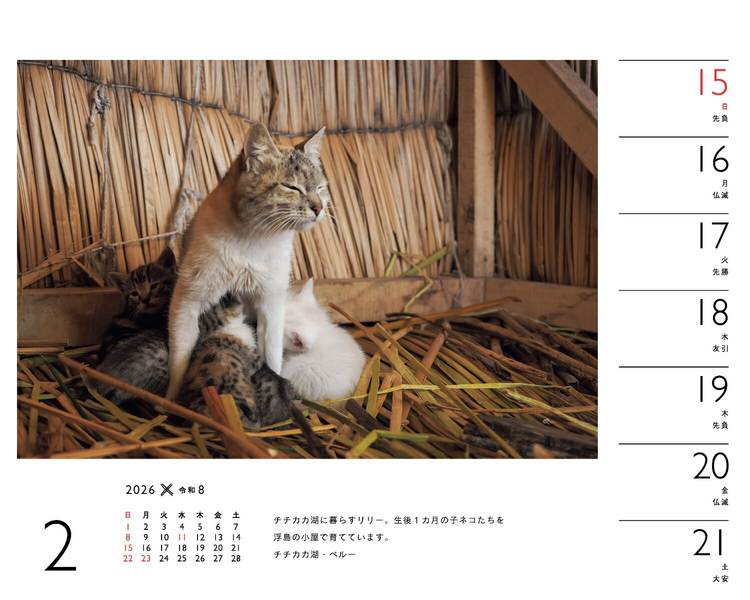 2026ߤͤʽ᤯/塦/ǭǭˡʡΥϡ