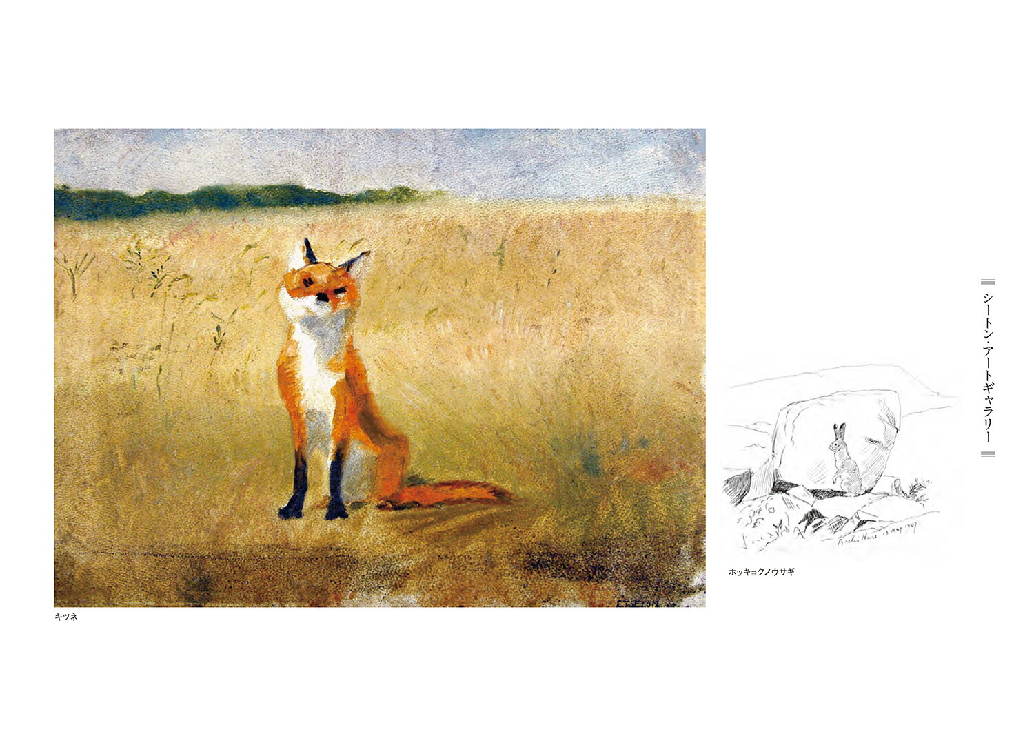 勵Υ饰ʿ޽ǡˡʥȥưʪ[ͥȡTȥ]