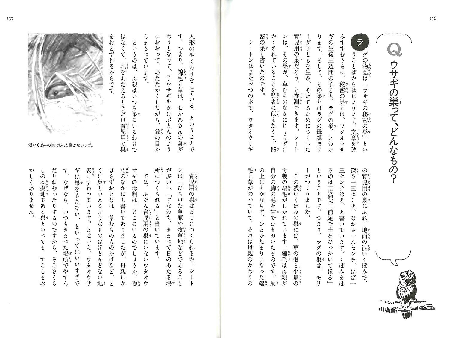 勵Υ饰ʿ޽ǡˡʥȥưʪ[ͥȡTȥ]