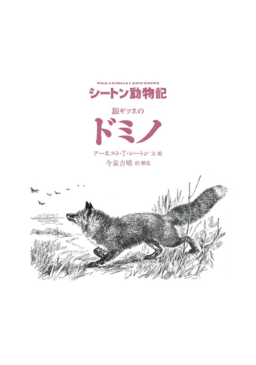 䥮ĥͤΥɥߥΡʿ޽ǡˡʥȥưʪ[ͥȡTȥ]