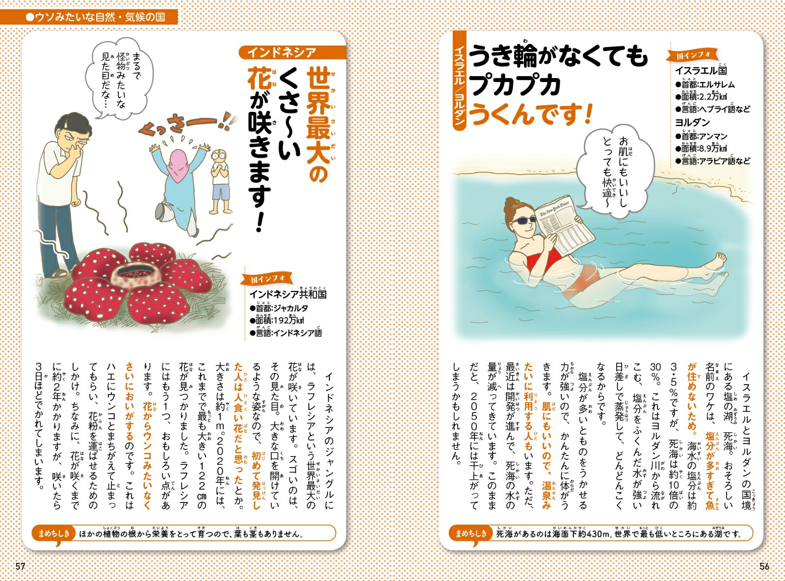 楽天ブックス ウソみたいだけど実在する 世界のめっちゃスゴい国 本