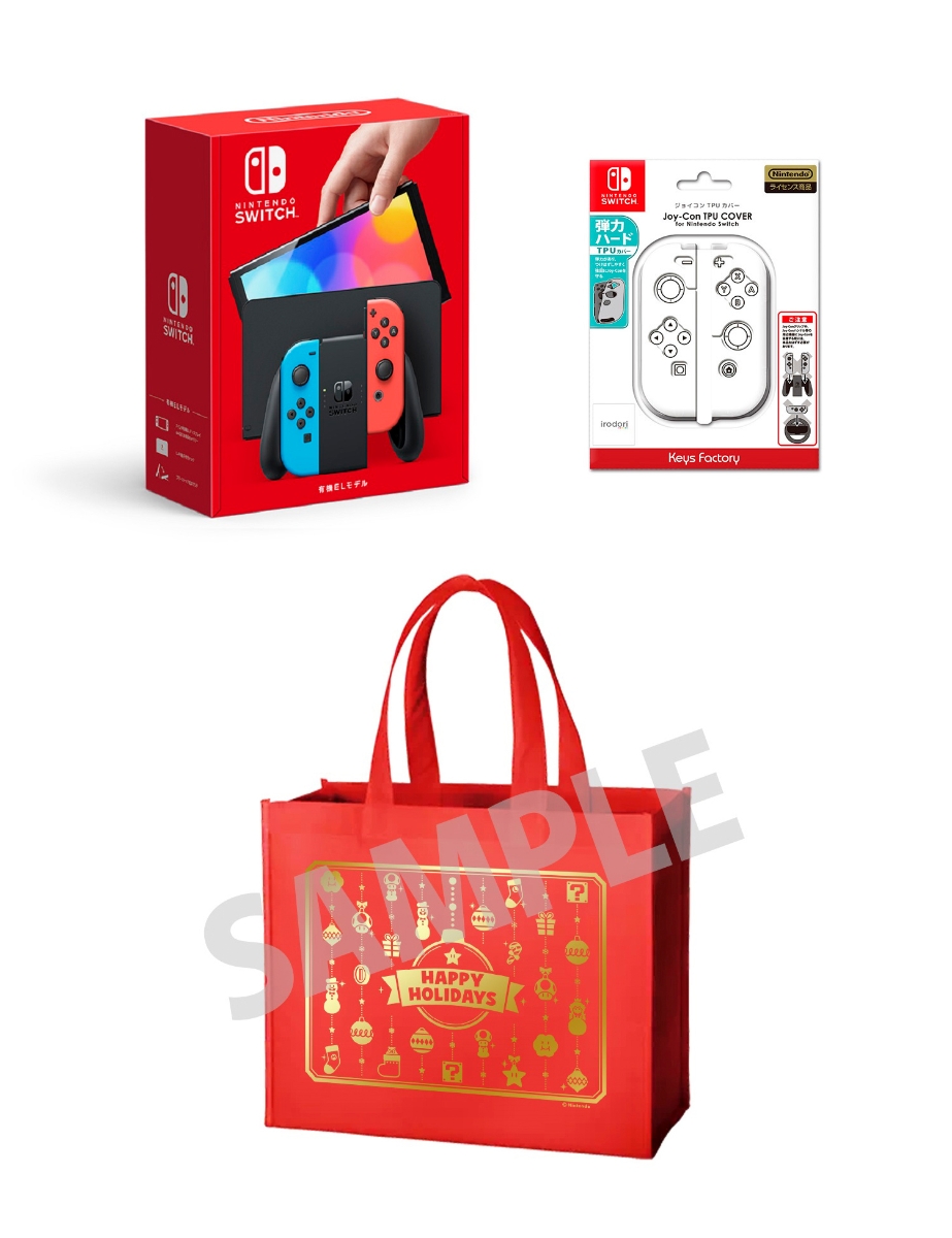 サロン専売Nintendo Switch ギフトバックセット 家庭用ゲーム機本体