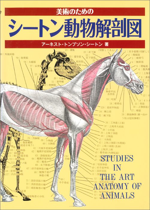 楽天ブックス 美術のためのシートン動物解剖図 アーネスト トムソン シートン 本