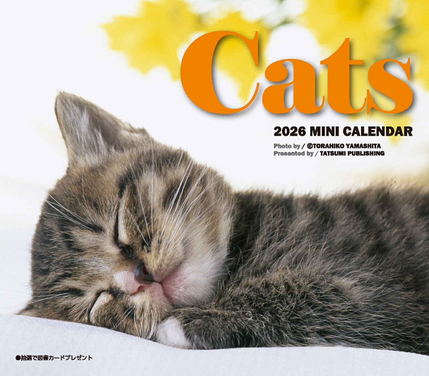 2026　ミニカレンダー　キャッツ画像