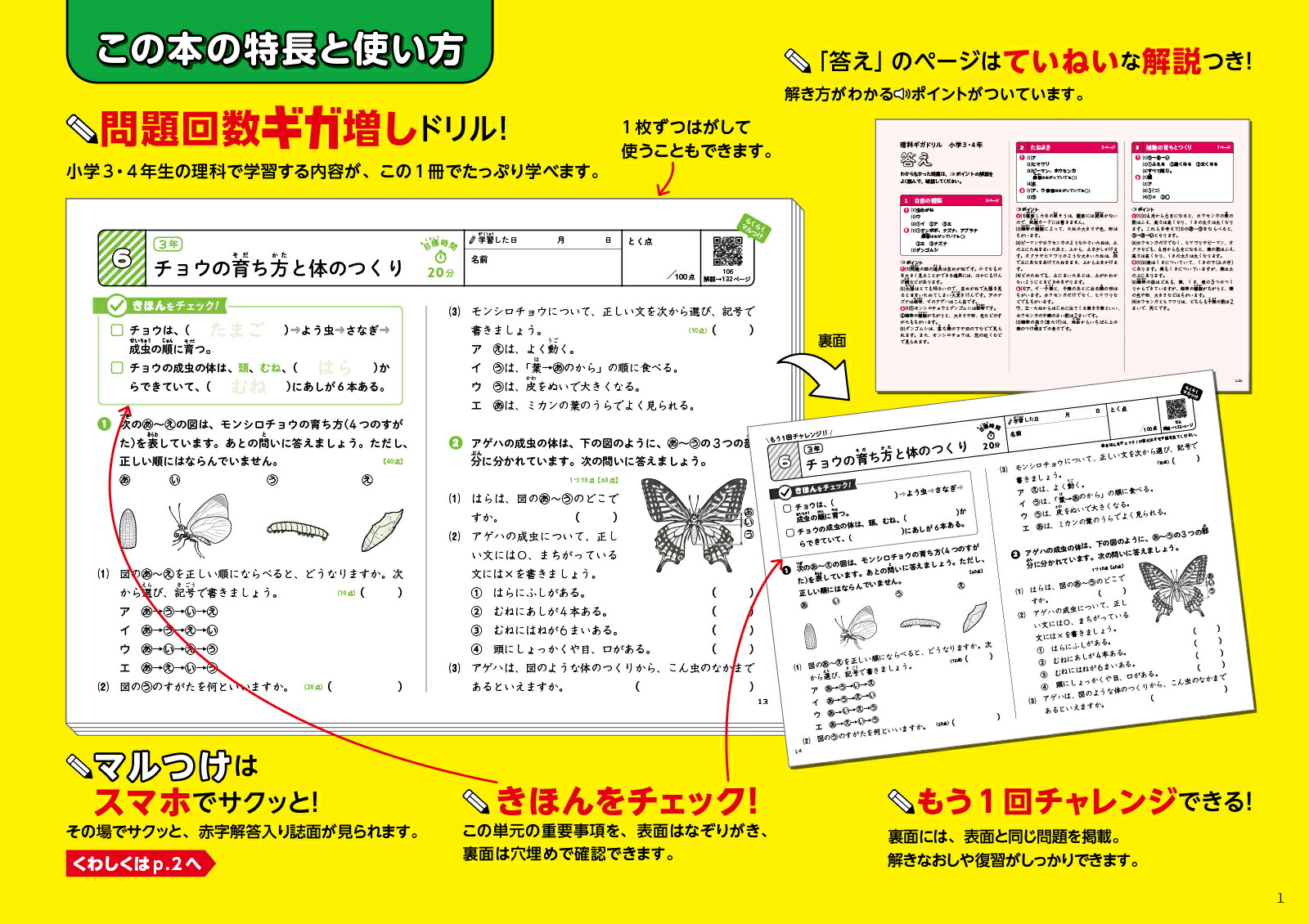 ���ʥ����ɥ�뾮��3��4ǯ[ʸ��Ʋ�Խ���]