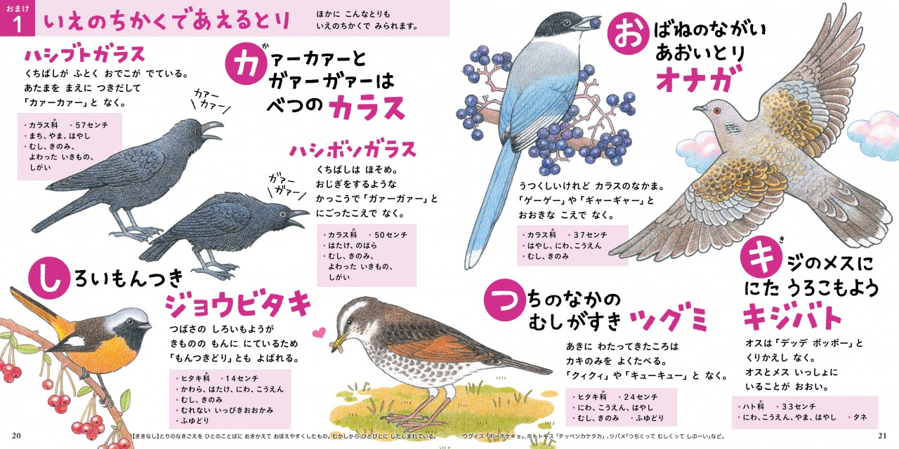 楽天ブックス とりのずかん ものしりあいうえお 雨宮 尚子 本