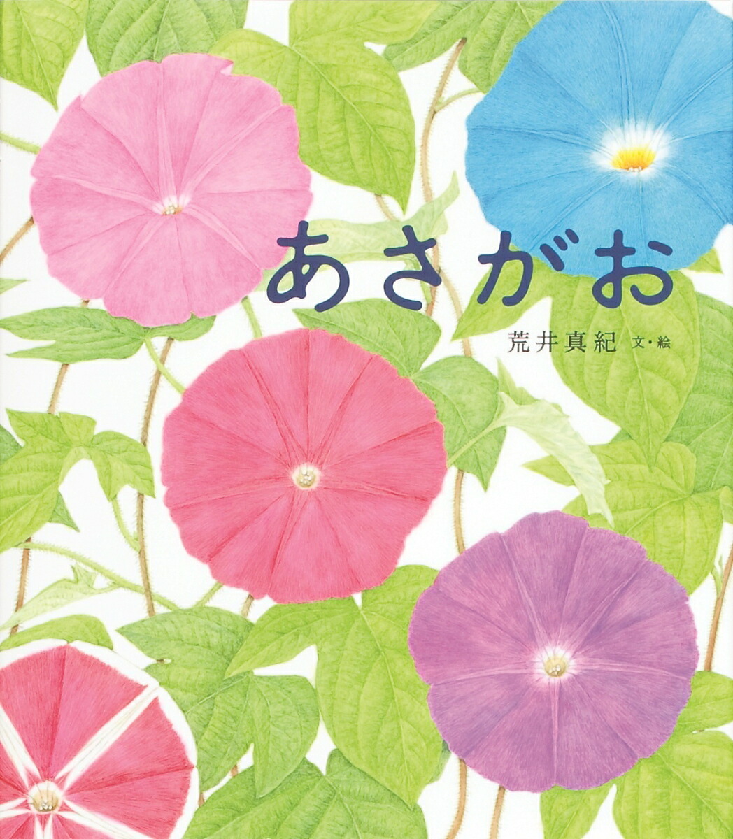 あさがお[荒井真紀]