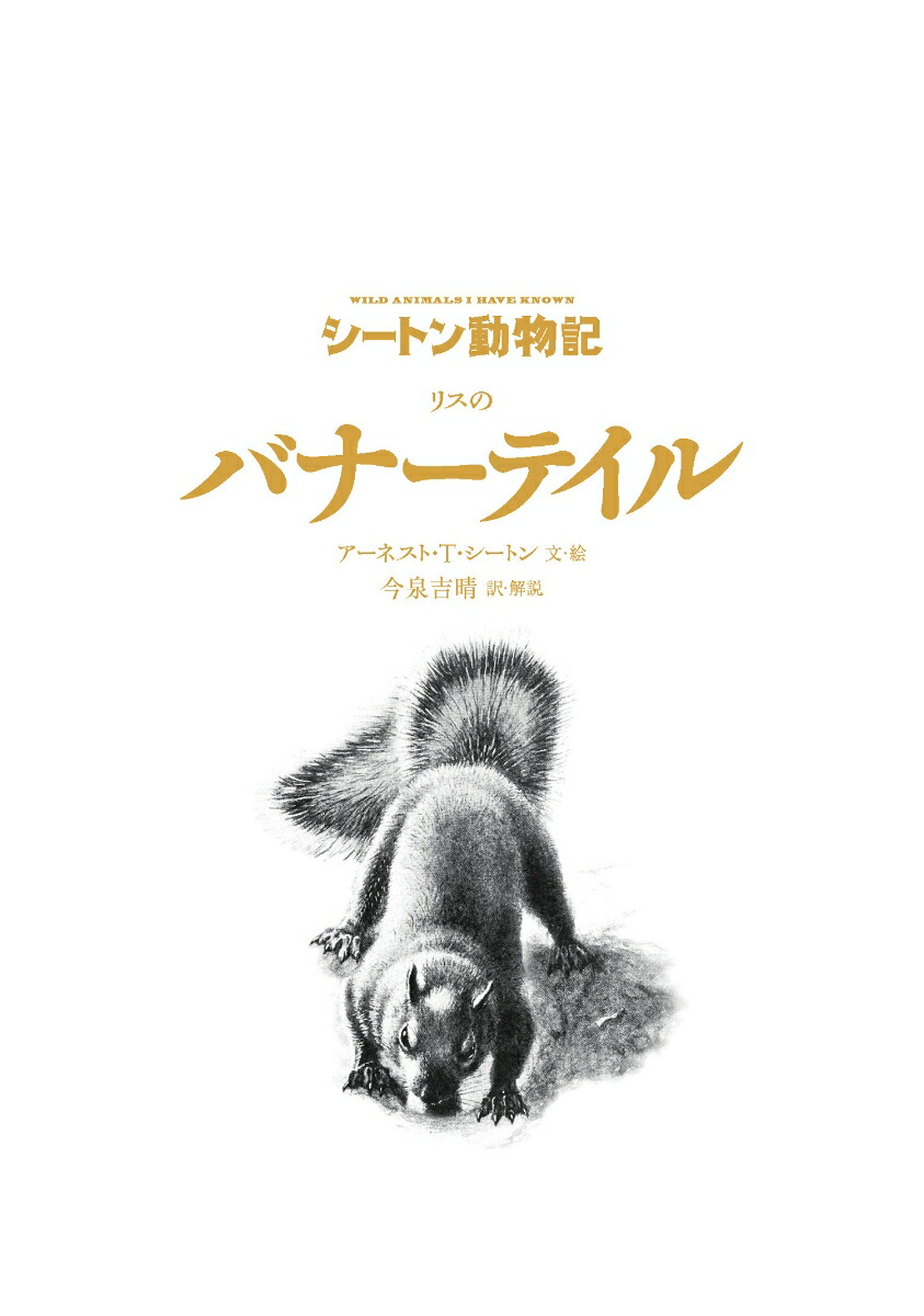 ꥹΥХʡƥʿ޽ǡˡʥȥưʪ[ͥȡTȥ]