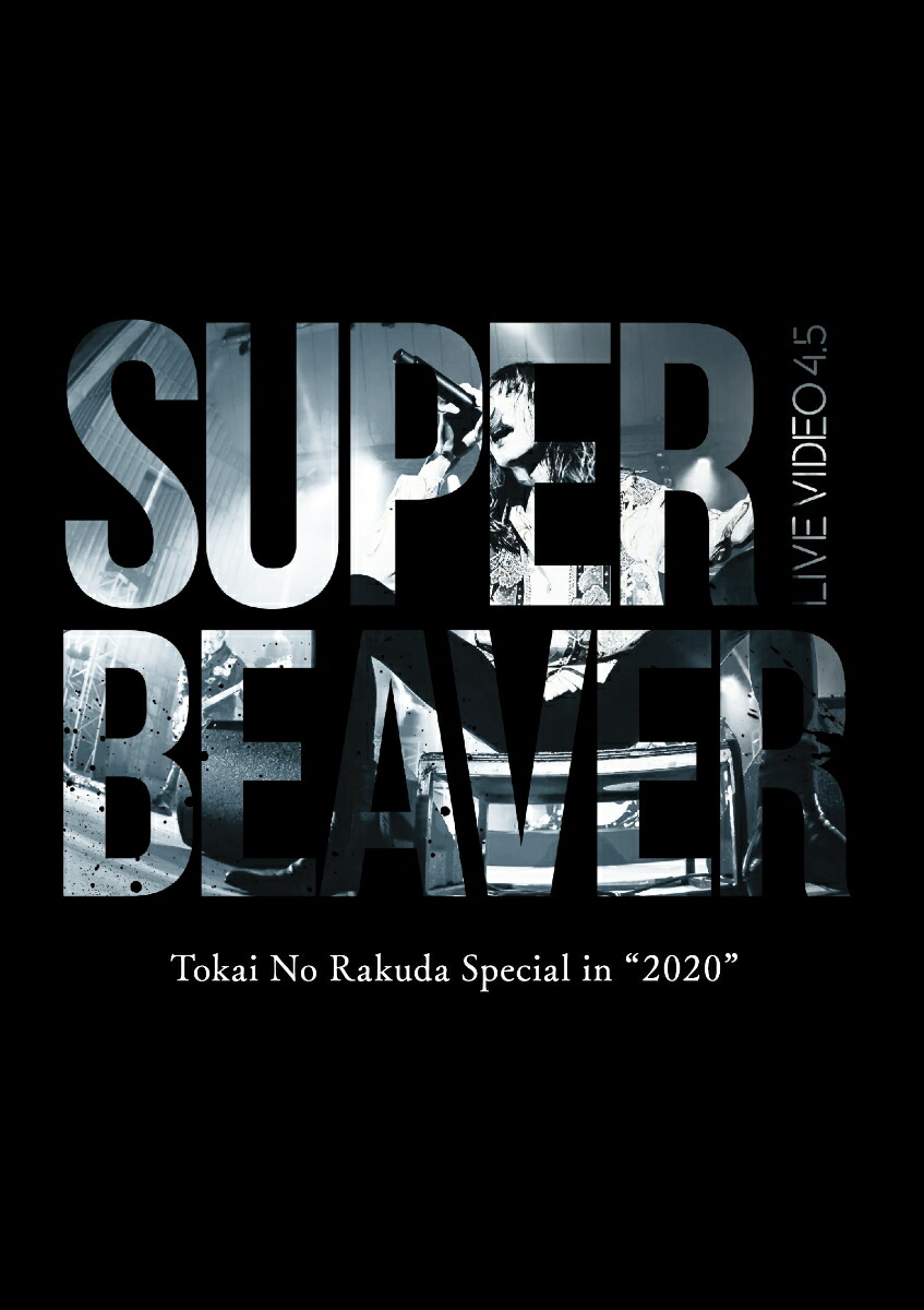 本物保証HOTSUPER BEAVER LIVE ４枚セット ミュージック