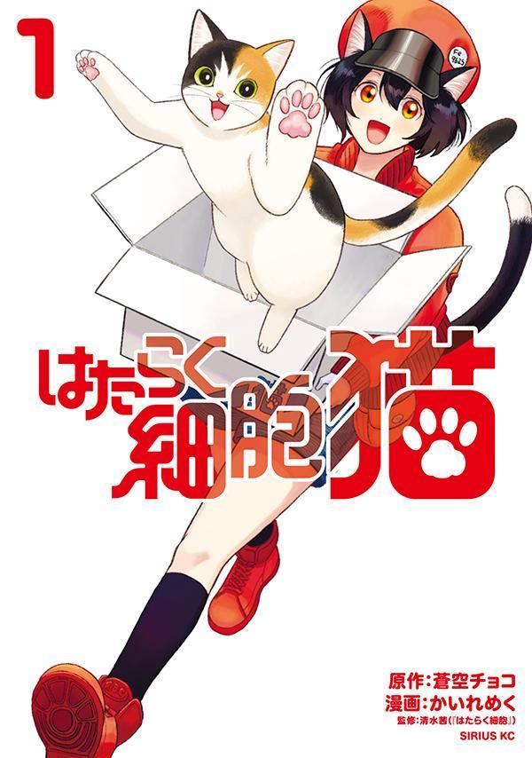 はたらく細胞猫（1）（シリウスKC）[かいれめく]