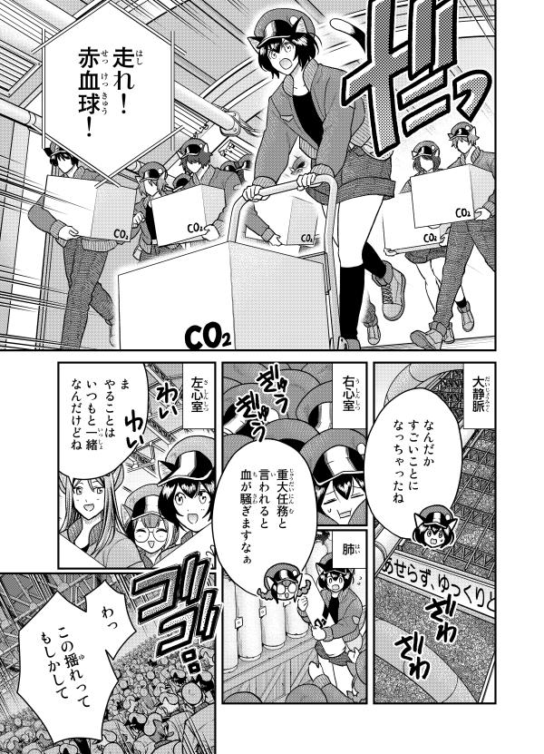 はたらく細胞猫（1）（シリウスKC）[かいれめく]