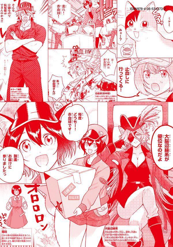 はたらく細胞猫（1）（シリウスKC）[かいれめく]
