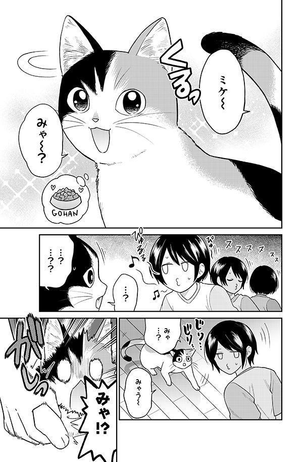はたらく細胞猫（1）（シリウスKC）[かいれめく]