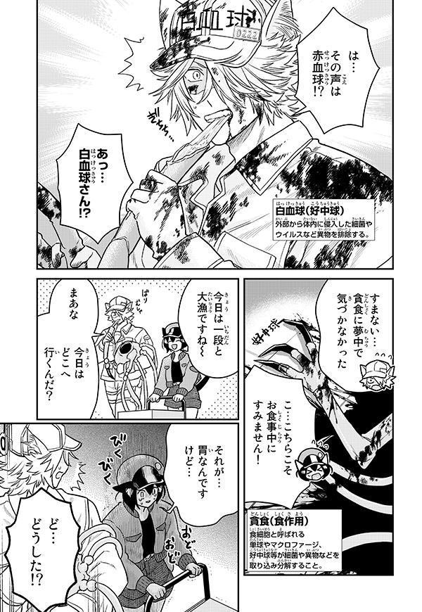 はたらく細胞猫（1）（シリウスKC）[かいれめく]