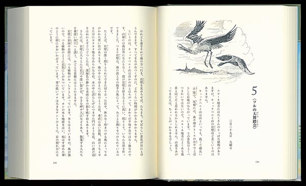 �˥륹�Τդ�����ι�ʾ�ˡ�ʡ���۸�ŵƸ�å��꡼����[����ޡ��顼����졼��]