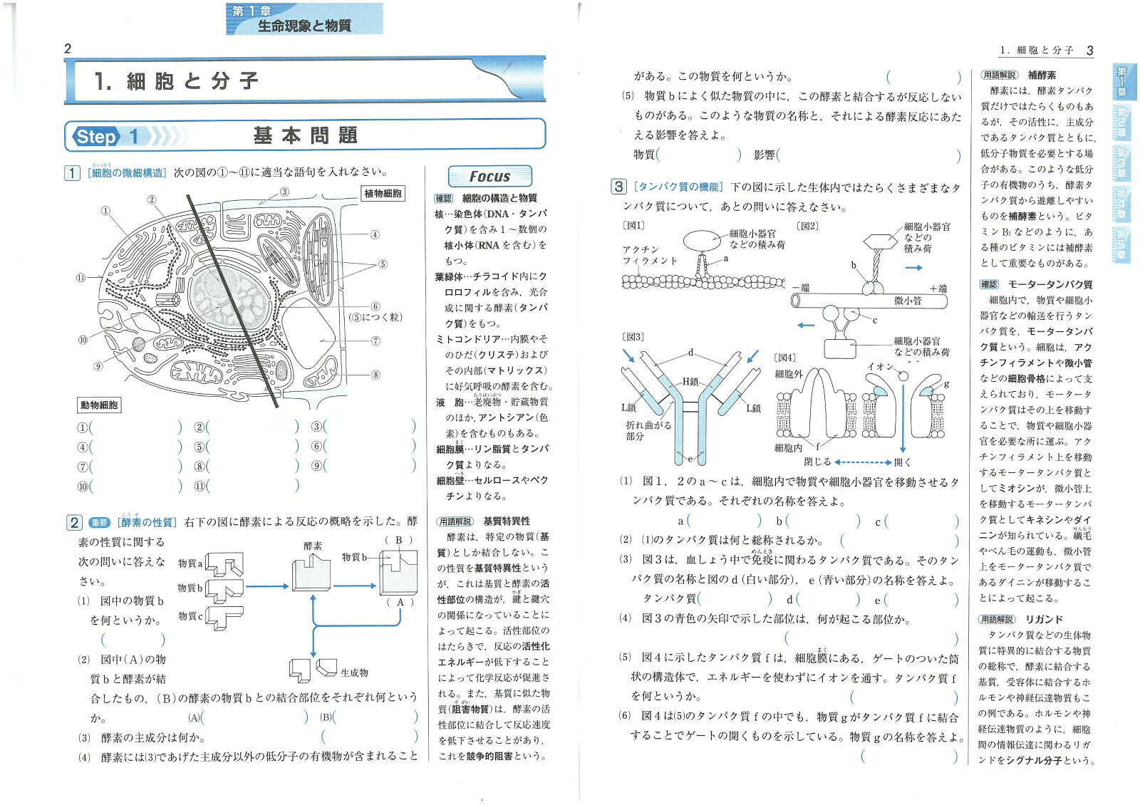 楽天ブックス 高校標準問題集生物 高校理科教育研究会 本