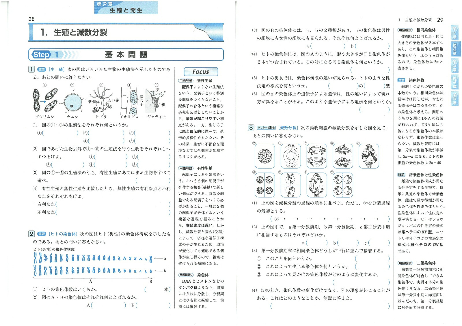 楽天ブックス 高校標準問題集生物 高校理科教育研究会 本