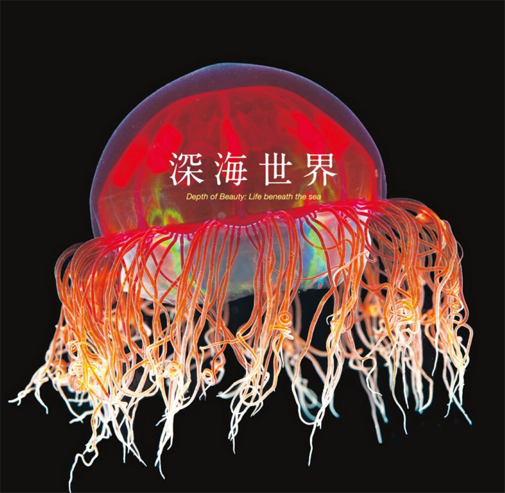 楽天市場】NATURE TECHNI COLOUR 海洋1 特装版 カクレクマノミ