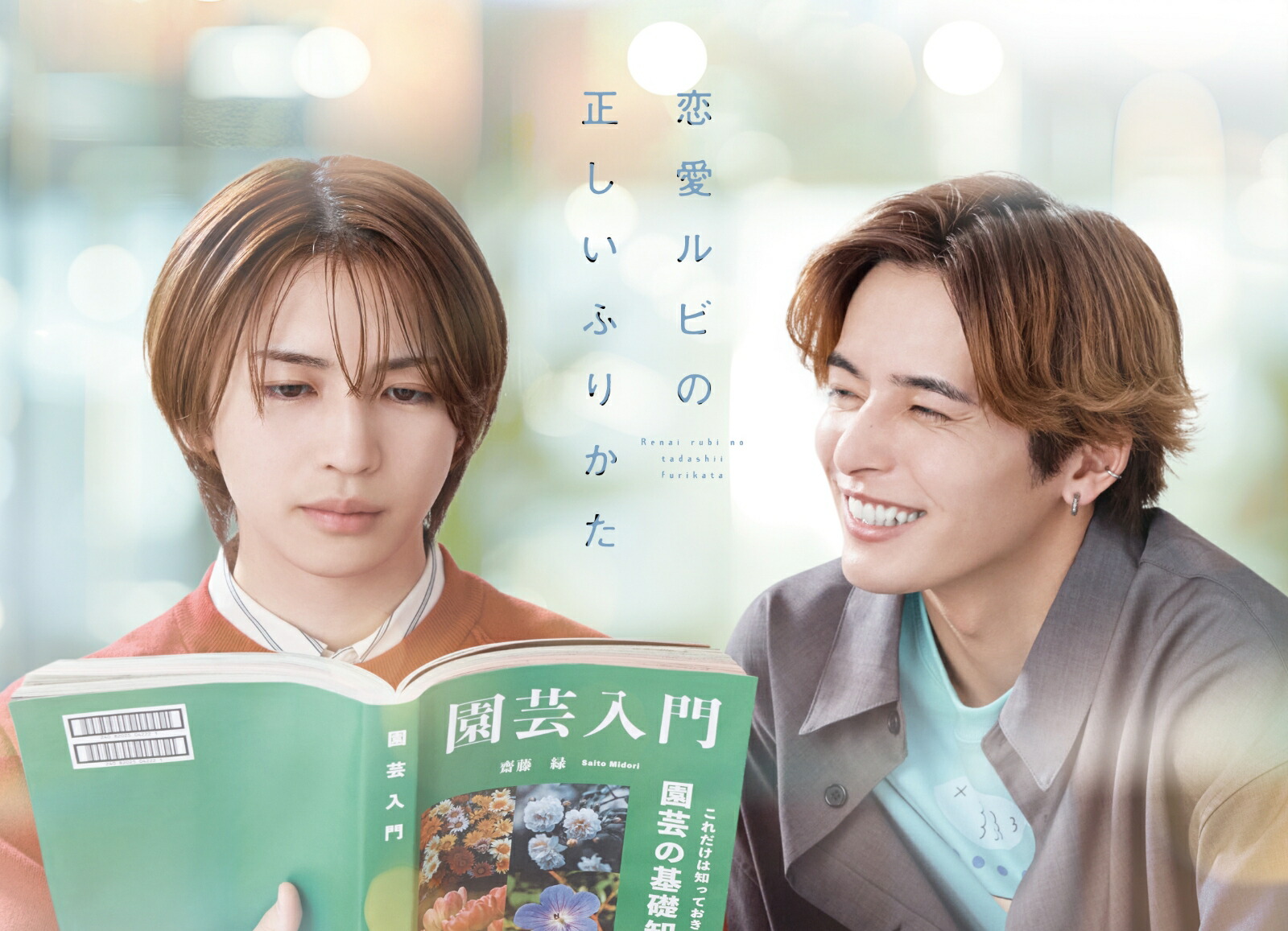 恋愛ルビの正しいふりかた DVDBOX 2枚組 楽天ブックス: 恋愛ルビの正しいふりかた DVD BOX - 岩橋玄樹