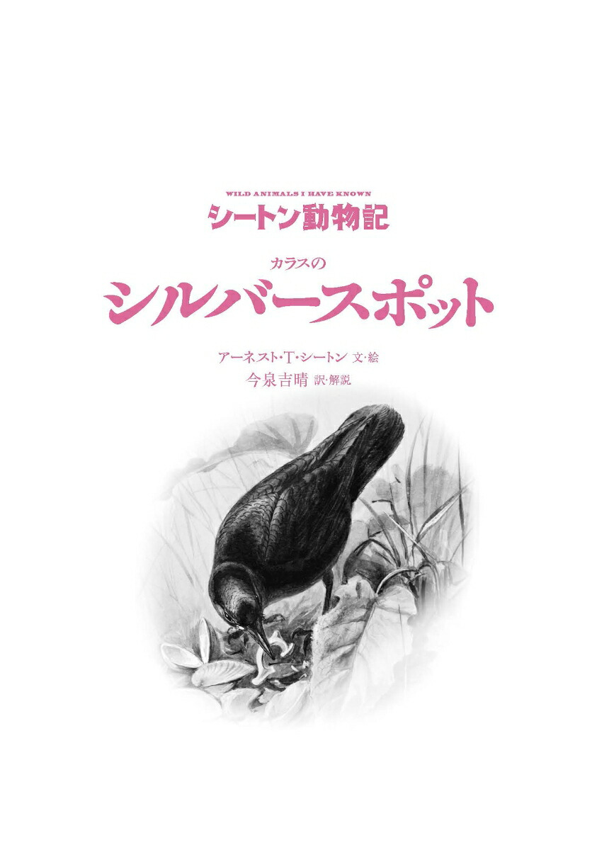 カラスのシルバースポット（図書館版）（シートン動物記［図書館版］）[アーネスト・T・シートン]
