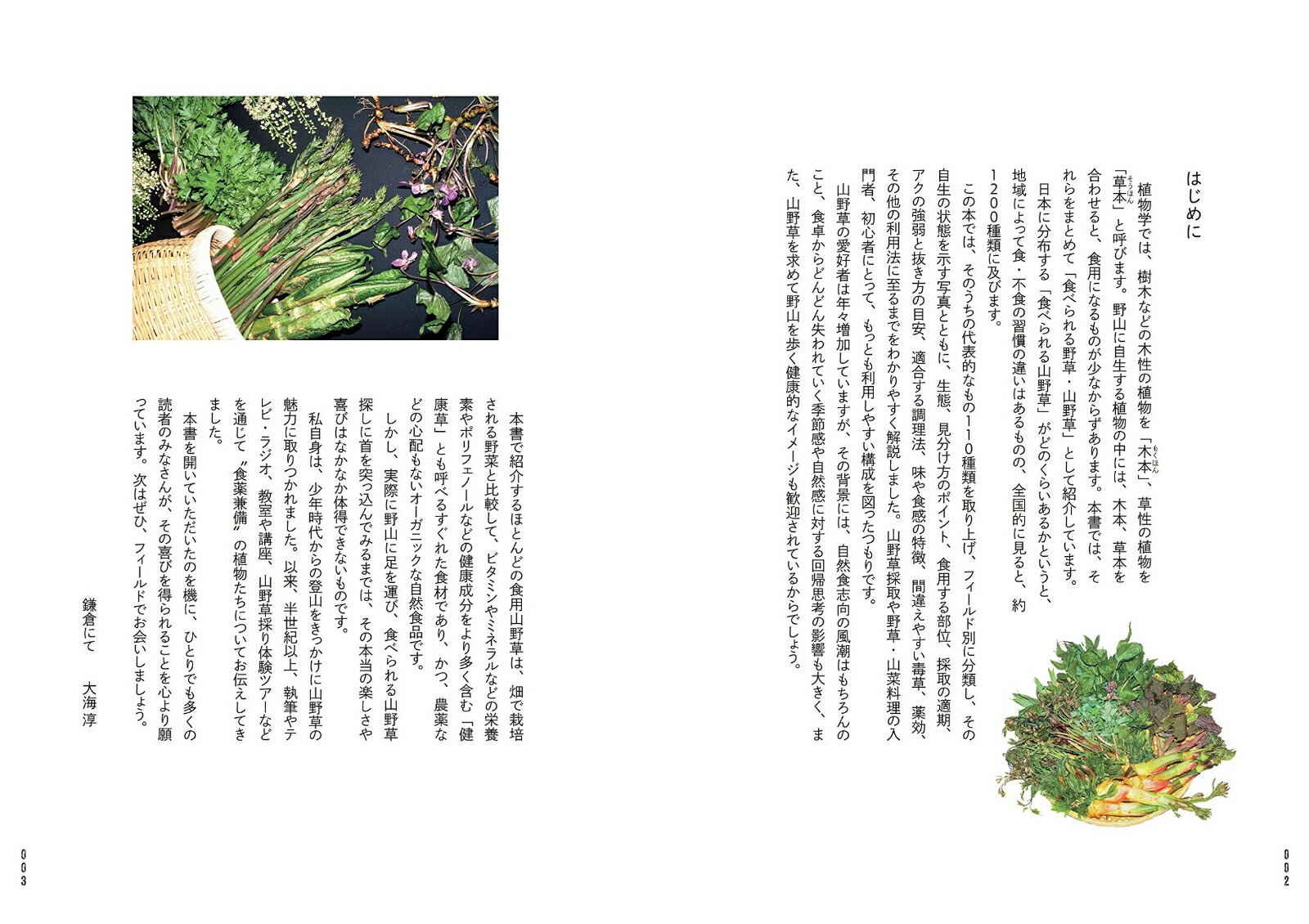 򤪤٤ܥե̸ʬΤ110[糤]