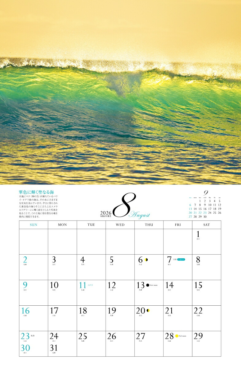 2026ͩݥѥݥåȡʷ᤯/ɳݤ/ˡʡΥϡ