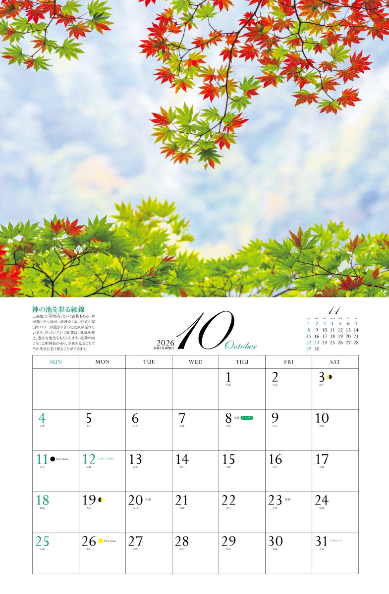 2026ͩݥѥݥåȡʷ᤯/ɳݤ/ˡʡΥϡ