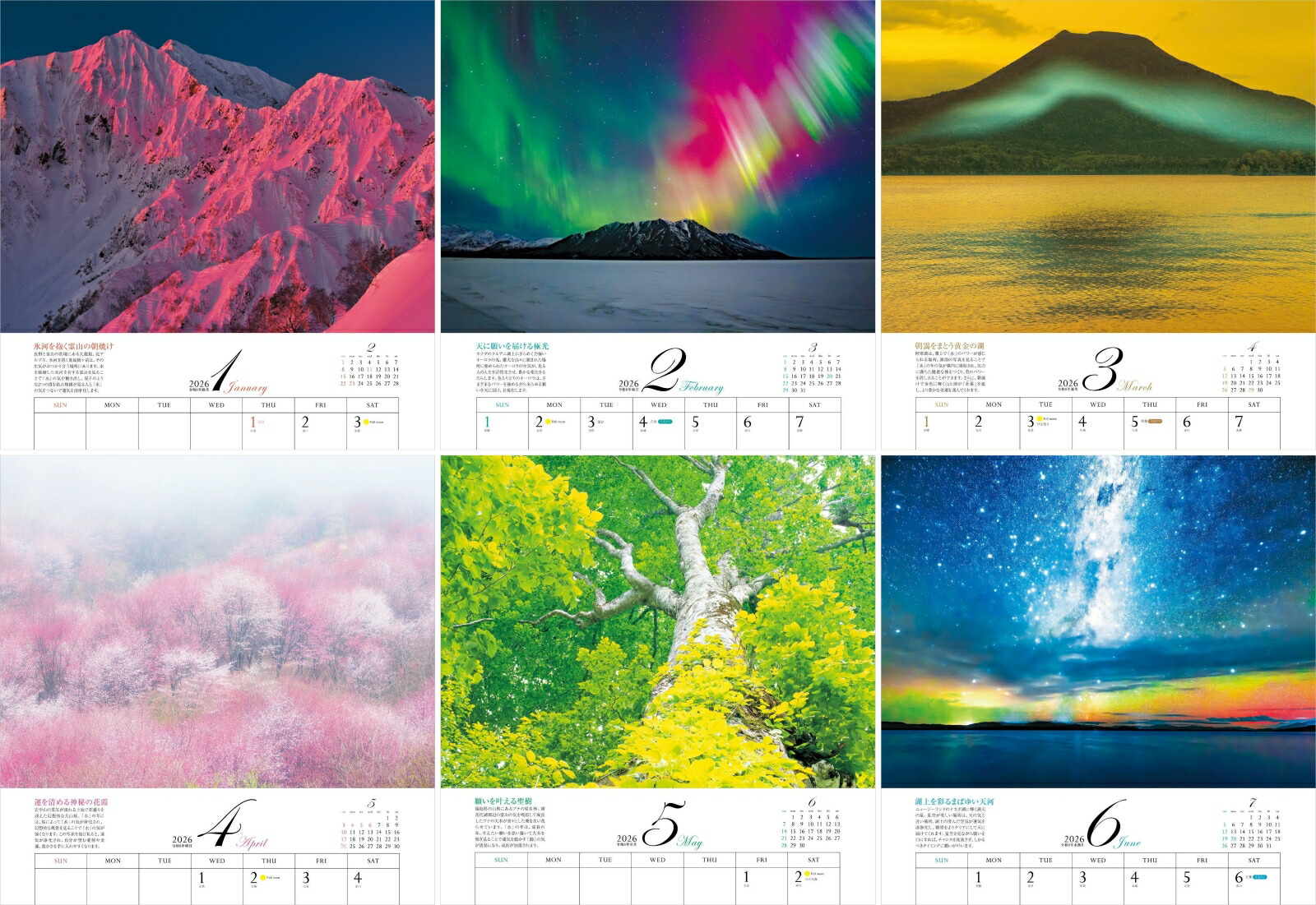 2026ͩݥѥݥåȡʷ᤯/ɳݤ/ˡʡΥϡ