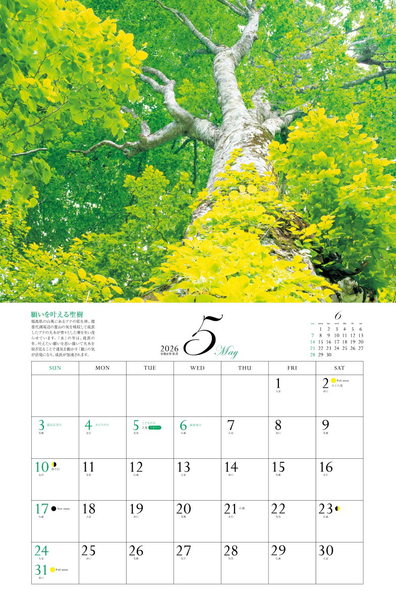 2026ͩݥѥݥåȡʷ᤯/ɳݤ/ˡʡΥϡ