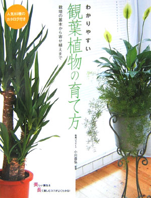 楽天ブックス わかりやすい観葉植物の育て方 栽培の基本から寄せ植えまで 小川恭弘 本