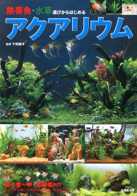 楽天ブックス 熱帯魚 水草選びからはじめるアクアリウム 千田義洋 本